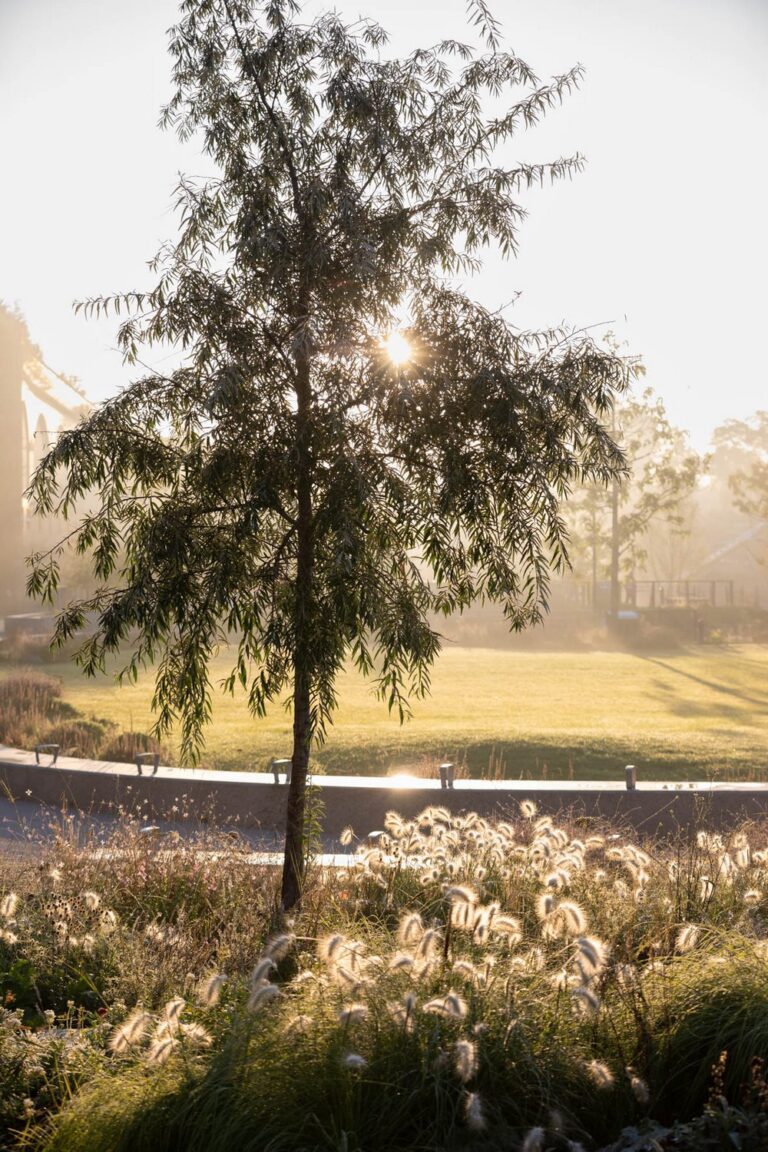 Mayfield Park, el nuevo parque urbano de Mánchester que recupera para