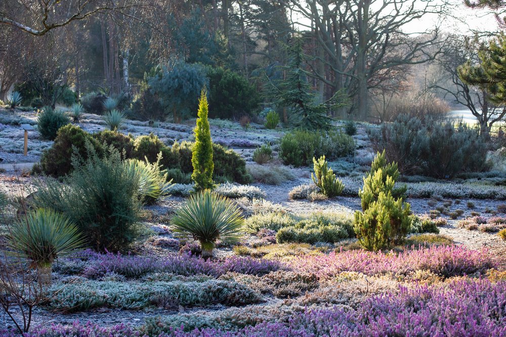 Howard's Field en RHS Garden Wisley