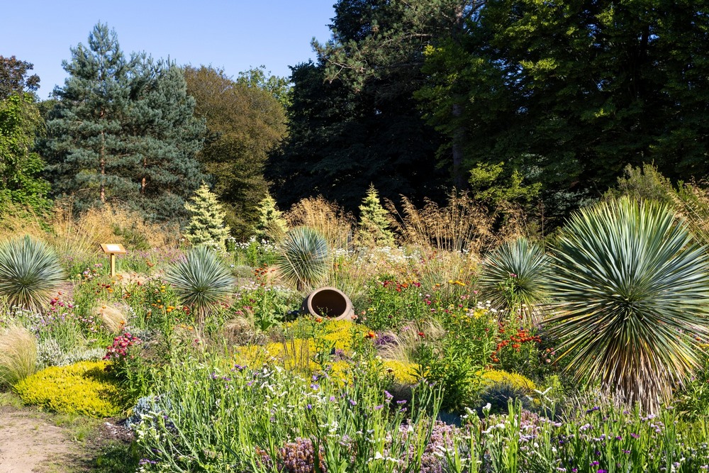 Howard's Field en RHS Garden Wisley