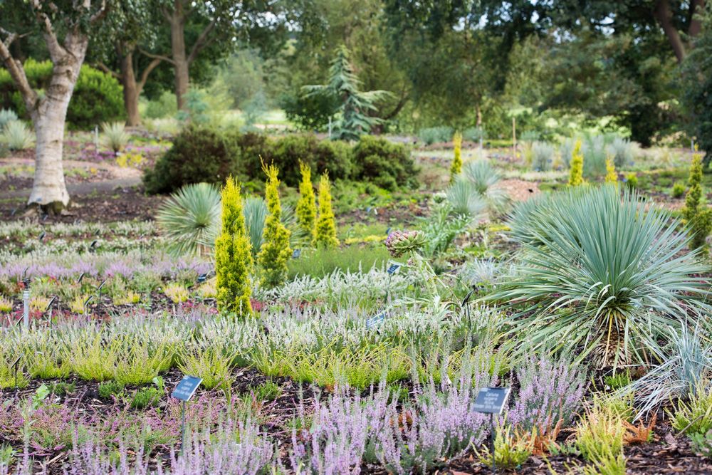 Howard's Field en RHS Garden Wisley