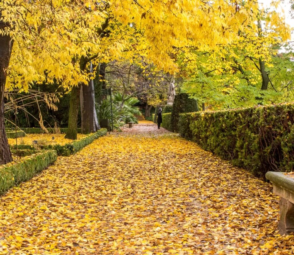 Botánico de Madrid pone las hojas de otoño a tus pies