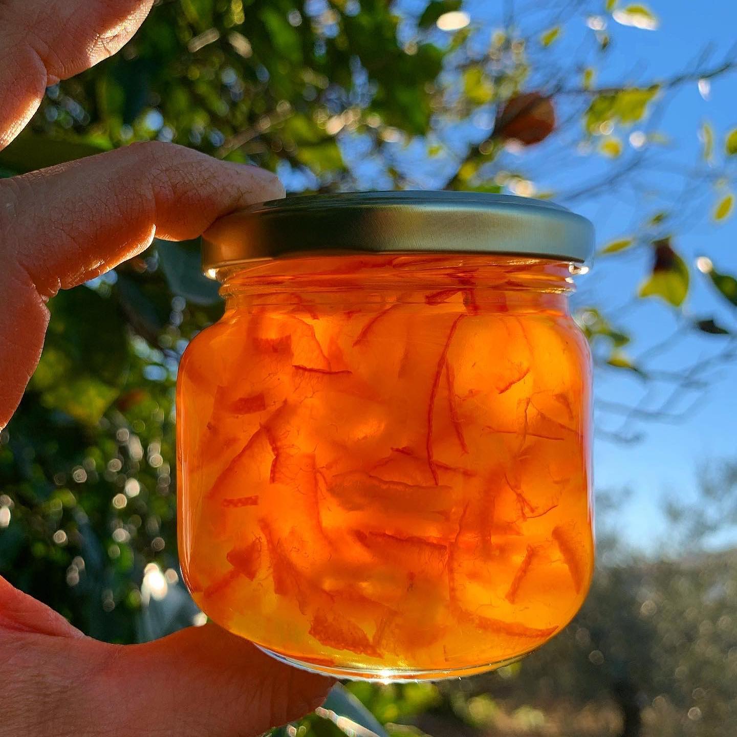 Tarro de cristal con mermelada de naranjas amargas