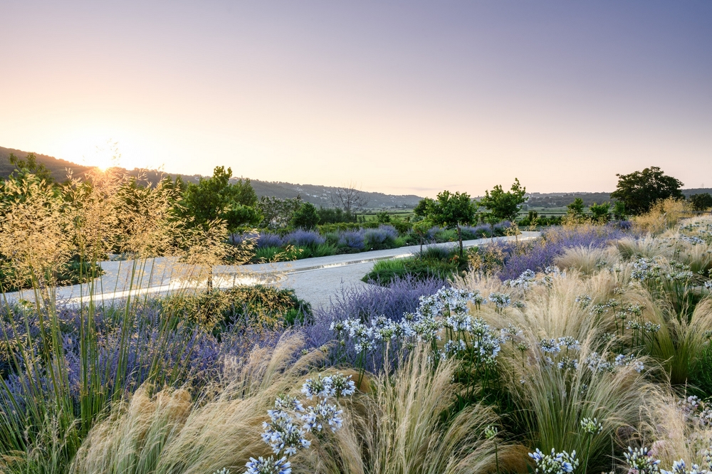 Jardines premiados SGD 2024