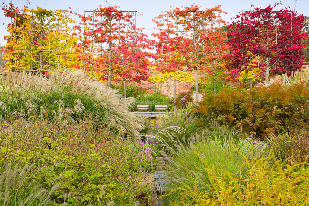 Fotografías de bellos jardines premiadas en IGPOTY 17 - EL BLOG DE LA TABLA