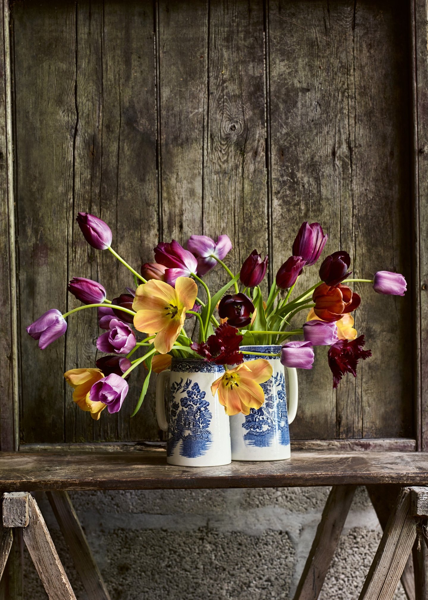 Jarrones con tulipanes históricos holandeses en el libro The Tulip Garden