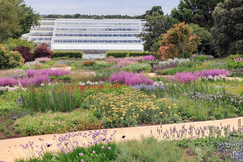 Bulbos en el Oudolf Landscape en RHS Garden Wisley 